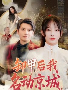 卸甲后我名動京城
