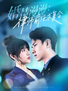 婚情漫漫，律師前任求復合